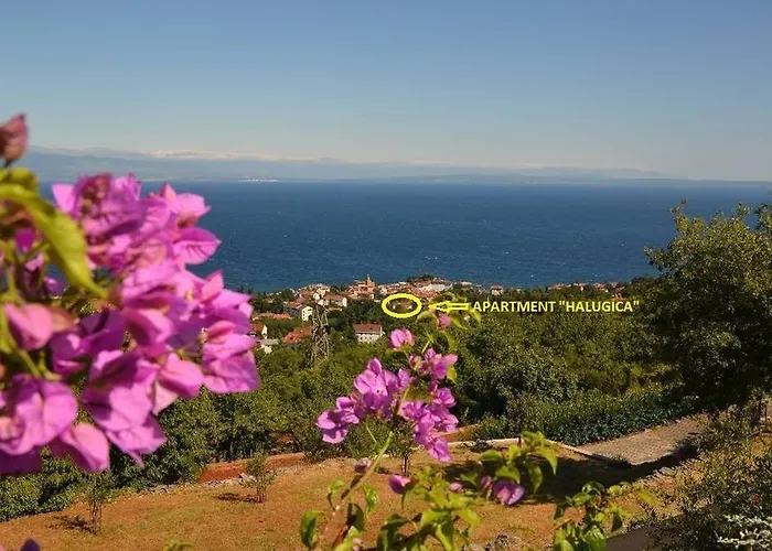 公寓 Halugica