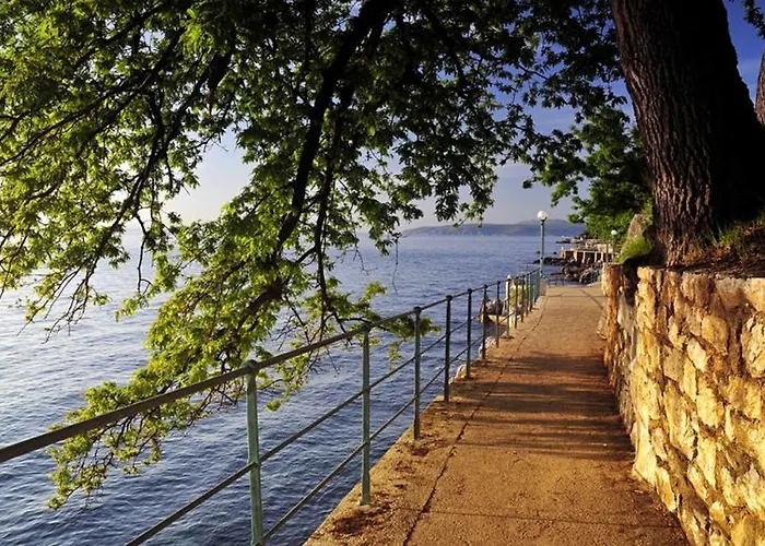 Apartment Halugica *